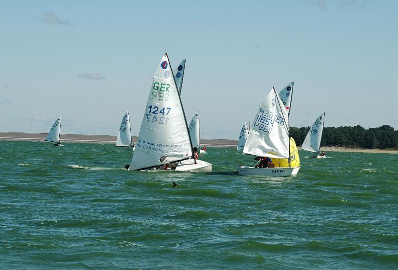 DSC_8254.JPG